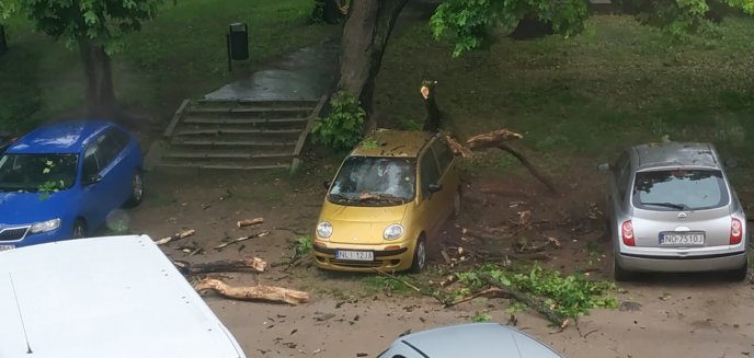 Drzewo spadło na samochód. Co w takiej sytuacji robić?