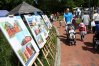 Piknik w Parku Centralnym z okazji 20-lecia Uniwersytetu Warmińsko-Mazurskiego w Olsztynie