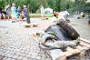 Zdjęcie 19