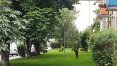 Dziki przy ul. Małeckiego w Olsztynie