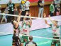 Zdjęcie 12