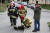 W czwartek kilka minut po godz. 15 na ul. Katowicką przyjechali strażacy interweniujący ws. kaczuszki, która wpadła do studzienki kanalizacyjnej