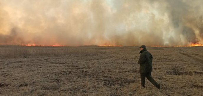 Artykuł: Koniec pożaru w Biebrzańskim Parku Narodowym. Wysoka nagroda za wskazanie podpalacza