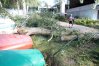 Zdjęcie 9