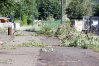 Zdjęcie 20