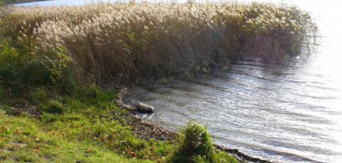 Jezioro Ukiel – pora na zmiany