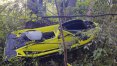 13-latek wraz ze skuterem wylądował na drzewie