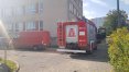 W Szkole Podstawowej nr 22 w Olsztynie wykryto gniazdo os