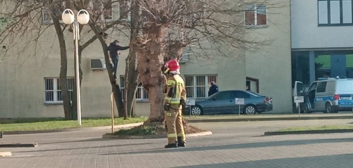 Artykuł: Desperat chciał powiesić się w centrum Iławy. Strażacy i policjanci w akcji