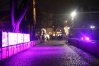 Zdjęcie 26