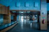 Zdjęcie 29