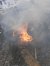 Zdjęcie 1