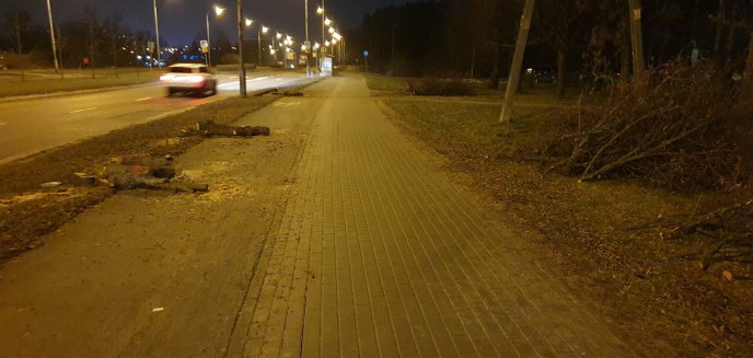 Artykuł: Wycinka drzew w Olsztynie niebezpieczna dla rowerzystów. Czytelnik: ''Czy ktoś to nadzoruje?''
