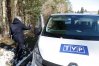 Janusz Cichoń podarował dziennikarce TVP Info czerwonego tulipana