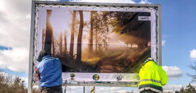 ''Z drzewami po drodze''. W Olsztynie pojawiła się niezwykła wystawa