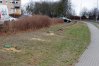 Zdjęcie 6