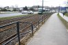 Drzewo przy al. Sikorskiego przewróciło się na torowisko, przez co trzeba było wstrzymać ruch tramwajów