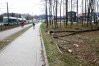 Zdjęcie 3