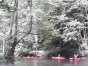 Zdjęcie 16
