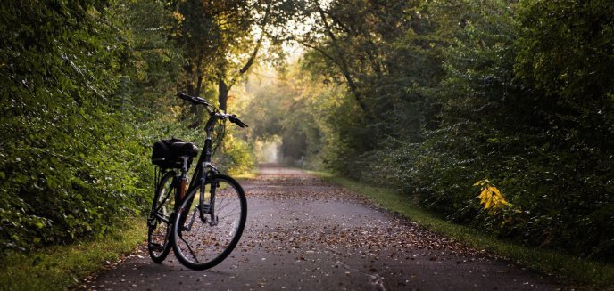 Artykuł: 13-letnia rowerzystka zgubiła się w lesie pod Olsztynem. Pomogły psy tropiące