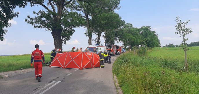 Tragiczny wypadek pod Dobrym Miastem. 49-letni motocyklista uderzył w drzewo [ZDJĘCIA]