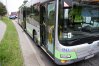 Zdjęcie 4