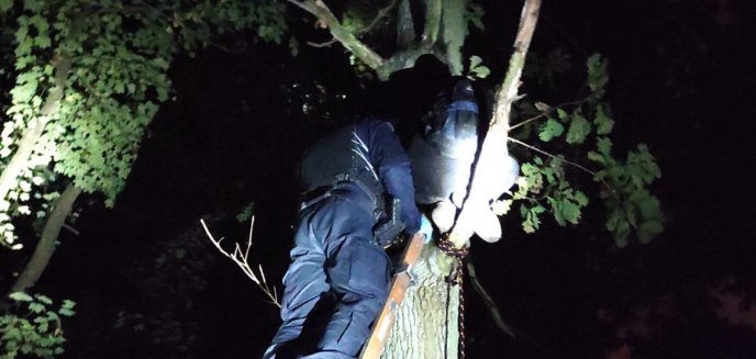 Artykuł: Nastolatek chciał się powiesić w lesie na olsztyńskim Pieczewie. Pomoc przyszła w ostatniej chwili!