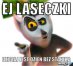 Zdjęcie 4