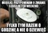 Zdjęcie 12