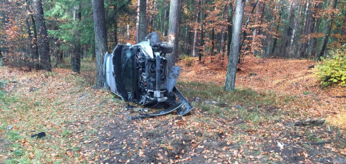 Artykuł: Kolizja pod Olsztynem. Kierowca osobowego auta uderzył w drzewo