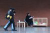 Zdjęcie 8