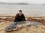 Pan Sebastian wyłowił suma mierzącego 2,27 metra