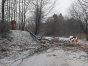 Na drogę Derc-Frączki spadło drzewo