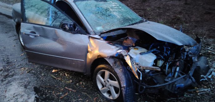 Artykuł: 22-letni kierowca mazdy najechał w powalone na ul. Zientary-Malewskiej drzewo. Teraz ma kłopoty [ZDJĘCIA]