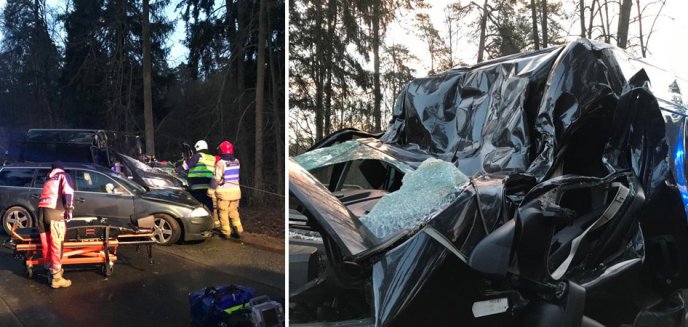 Artykuł: Drzewo spadło na samochód na trasie Olsztyn-Dywity [ZDJĘCIA]
