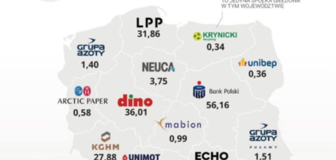 Artykuł: Spółki z polskim kapitałem notowane na giełdzie. Jak na tle innych regionów wypadają firmy z Warmii i Mazur?