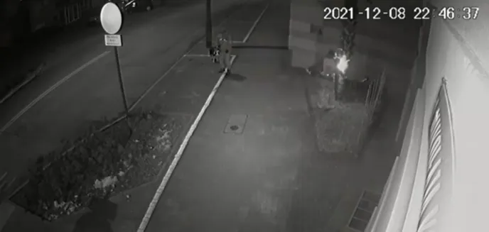 Podpalacze palmy znajdującej się przy starostwie w Olsztynie skazani