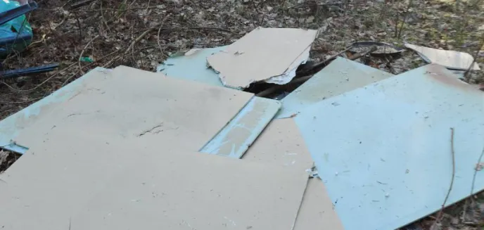 Tylko w 2021 r. dyrekcja olsztyńskich lasów wydała na sprzątanie terenów leśnych aż 1,7 mln zł!