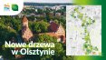 Zdjęcie 1