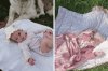 Biologiczny ojciec dziecka uprowadził 4-miesięczne niemowlę