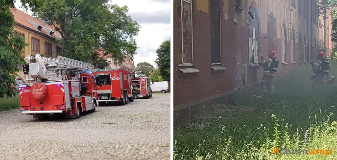 Akcja straży w opuszczonym budynku po dawnej jednostce wojskowej na olsztyńskim Zatorzu [ZDJĘCIA]