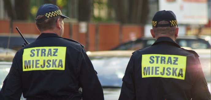 Artykuł: Ile można zarobić będąc strażnikiem miejskim w Olsztynie?