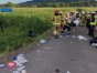 Zdjęcie 10