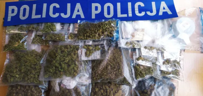Olsztyńscy policjanci oniemieli. Narkotyki były dosłownie wszędzie