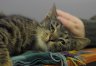 Zdjęcie 5