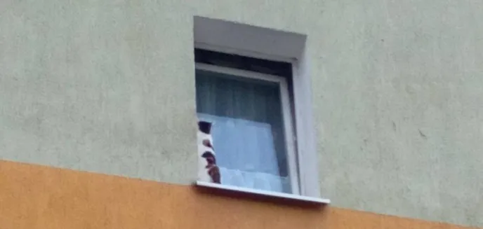 Nietypowa interwencja straży miejskiej na ul. Dworcowej w Olsztynie. Na parapecie utknął kotek [WIDEO]