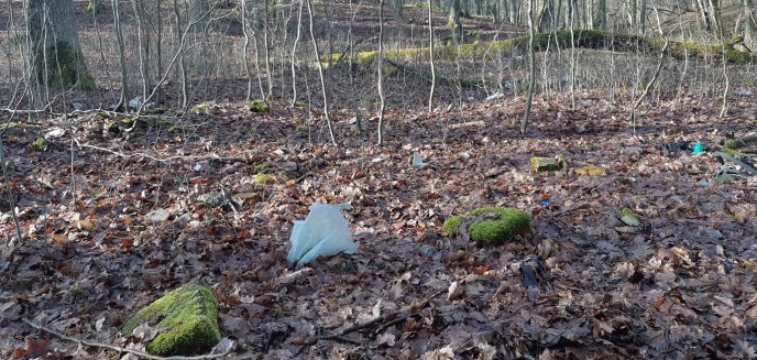 Artykuł: Leśnicy likwidują 50-letnie dzikie wysypisko śmieci pod Olsztynem