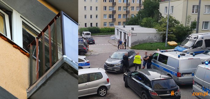 Artykuł: Dziesiątki policjantów i drony... Obława na ulicy Żołnierskiej w Olsztynie [ZDJĘCIA] [AKTUALIZACJA]
