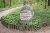 Zdjęcie 10