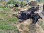 Zdjęcie 10